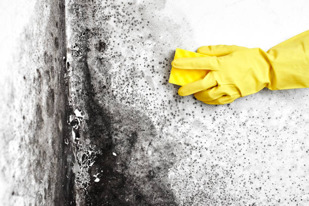 Water Damage Restoration in North Wales, PA