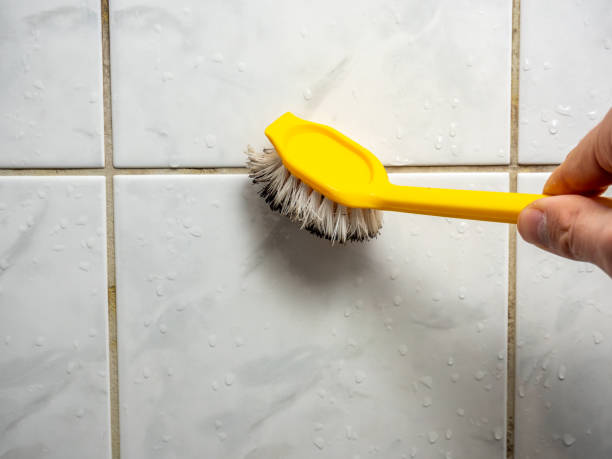 Best Mold Removal Company Near Me  in North Wales, PA