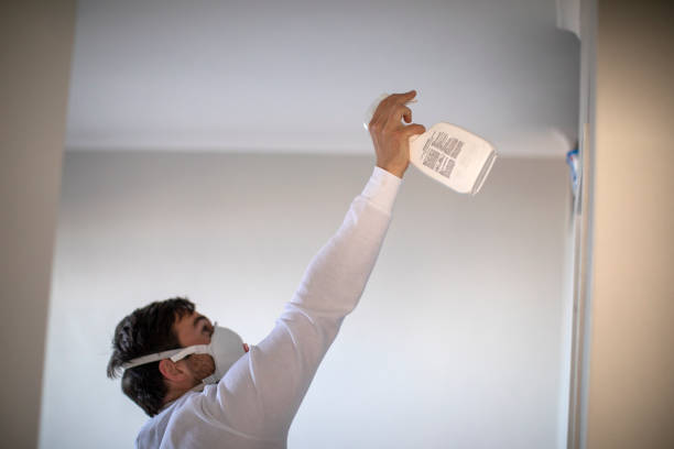 Best Attic Mold Removal  in North Wales, PA
