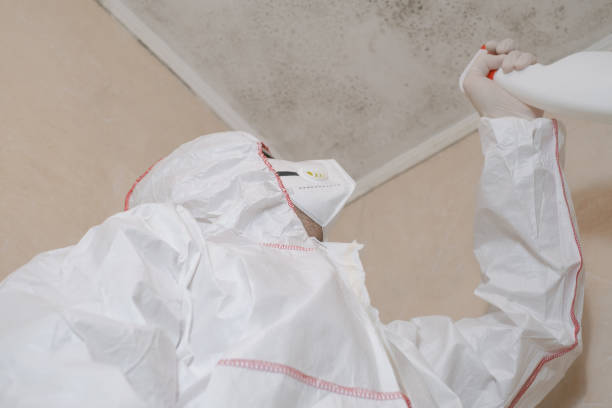 Best Mold Testing  in North Wales, PA